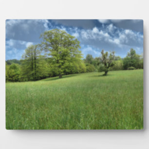 Appalachian Green Foto Plaque Fotoplatte