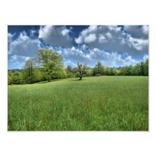 Appalachian Green Foto Print (Vorne)