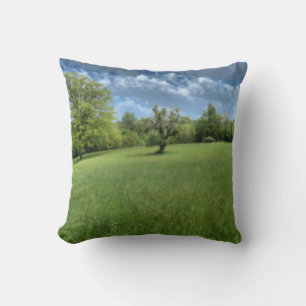 Appalachian Green Kissen