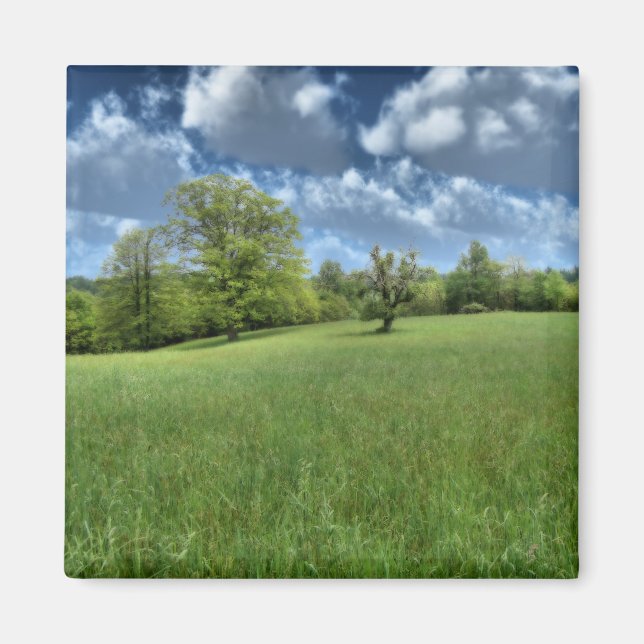 Appalachian Green Magnet (Vorne)