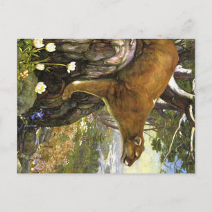 Appalachian-Tiere Postkarte