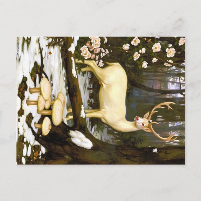Appalachian-Tiere  Postkarte (Vorderseite)