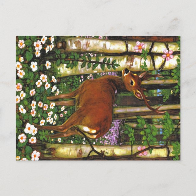 Appalachian-Tiere Postkarte (Vorderseite)