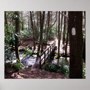Appalachian Trail bridge, Laurel Fork Tennessee Poster