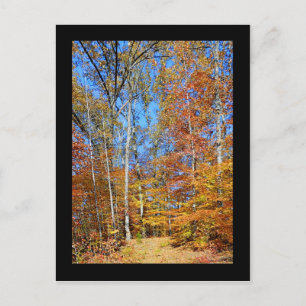 Appalachian Trail Herbst, Herbstlandschaft Postkar Postkarte