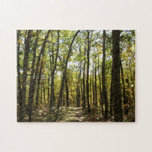 Appalachian Trail im Oktober im Shenandoah