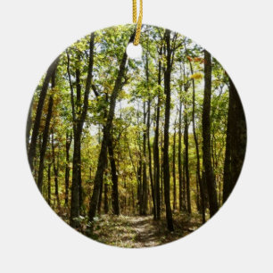 Appalachian Trail im Oktober im Shenandoah Keramikornament