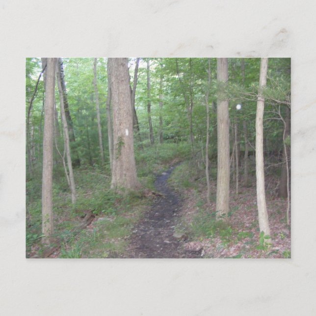 Appalachian Trail Pennsylvania South Mountain Postkarte (Vorderseite)