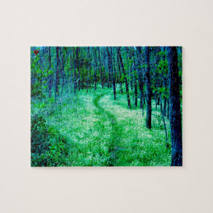 "Appalachian Trail Virginia.",