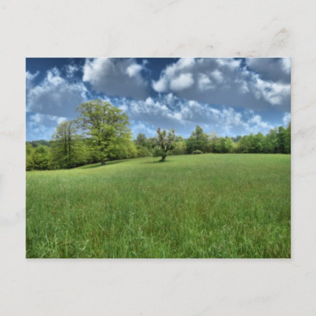 Appalachische grüne Postkarte (Vorderseite)