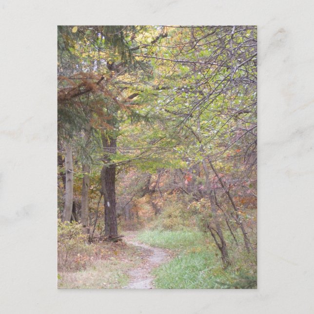 appalachischer Hinterfall Pennsylvania Postkarte (Vorderseite)