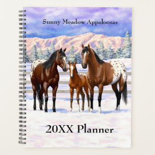 Appaloosa brauner Bucht Pferde im Schnee Planer