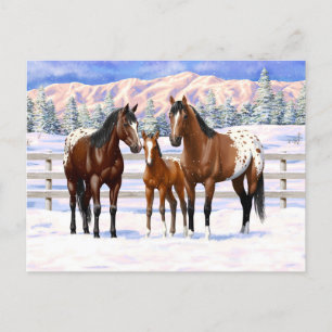 Appaloosa brauner Bucht Pferde im Schnee Postkarte