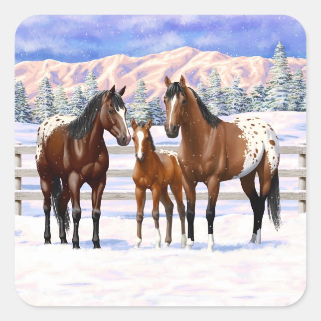 Appaloosa brauner Bucht Pferde im Schnee Quadratischer Aufkleber (Vorderseite)