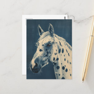 Appaloosa cyanotype postkarte