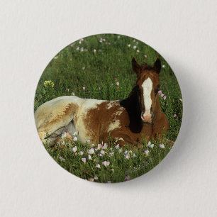 Appaloosa-Fohlen, das in den Blumen niederlegt Button