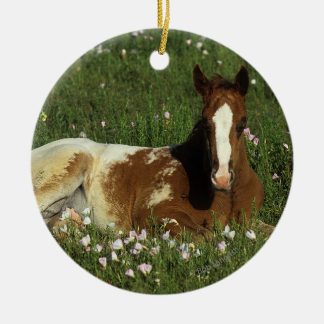 Appaloosa-Fohlen, das in den Blumen niederlegt Keramikornament (Vorne)