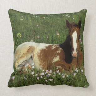 Appaloosa-Fohlen, das in den Blumen niederlegt Kissen