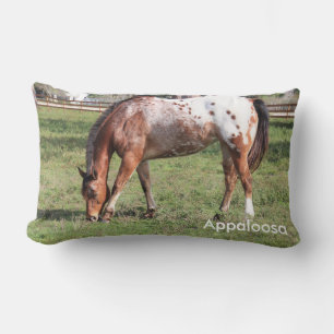 Appaloosa Horse Coussin