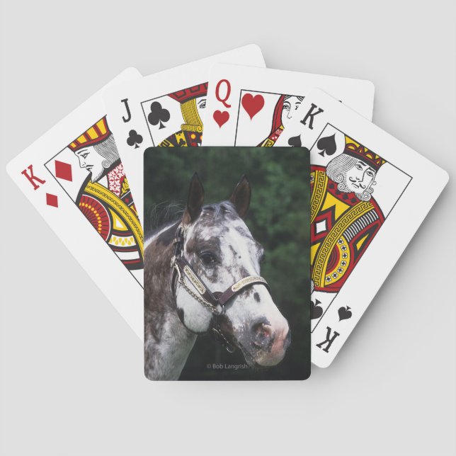 Appaloosa Horse Headshot 2 Spielkarten (Rückseite)