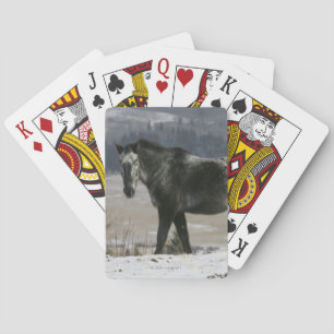Appaloosa Horse in the Snow Spielkarten