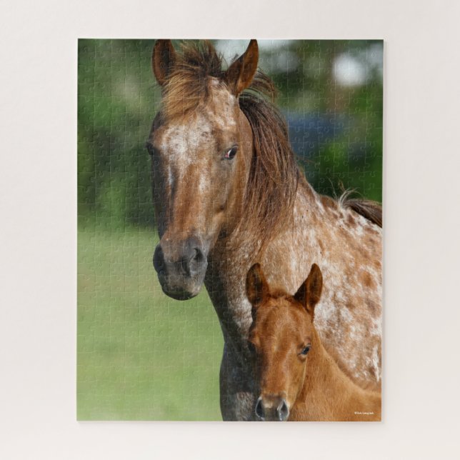 Appaloosa Horse Mare and Foal Headshot (Vertikal)