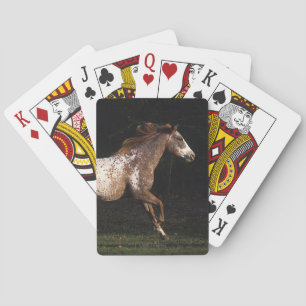Appaloosa Horse Running 4 Spielkarten