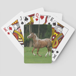 Appaloosa Horse Running Spielkarten