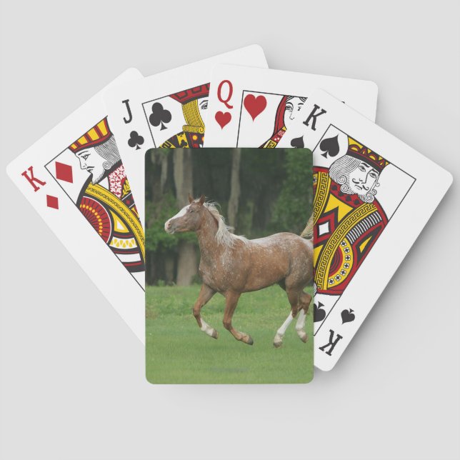 Appaloosa Horse Running Spielkarten (Rückseite)