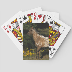 Appaloosa Horse Standing by Lake Spielkarten