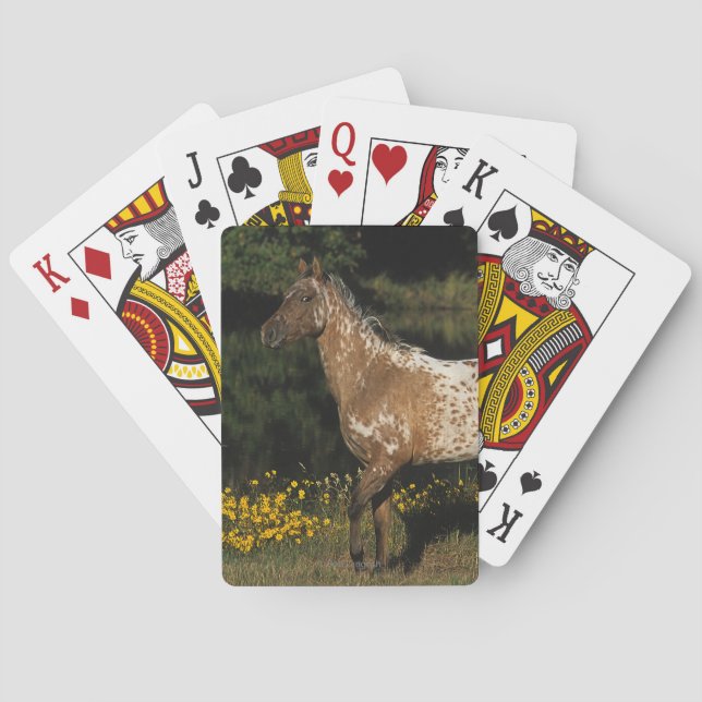 Appaloosa Horse Standing by Lake Spielkarten (Rückseite)