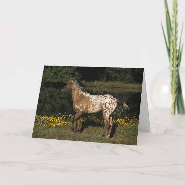 Appaloosa-Horsebereitstehender See Karte (Vorderseite)