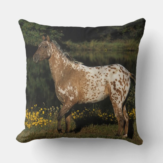 Appaloosa-Horsebereitstehender See Kissen (Vorderseite)