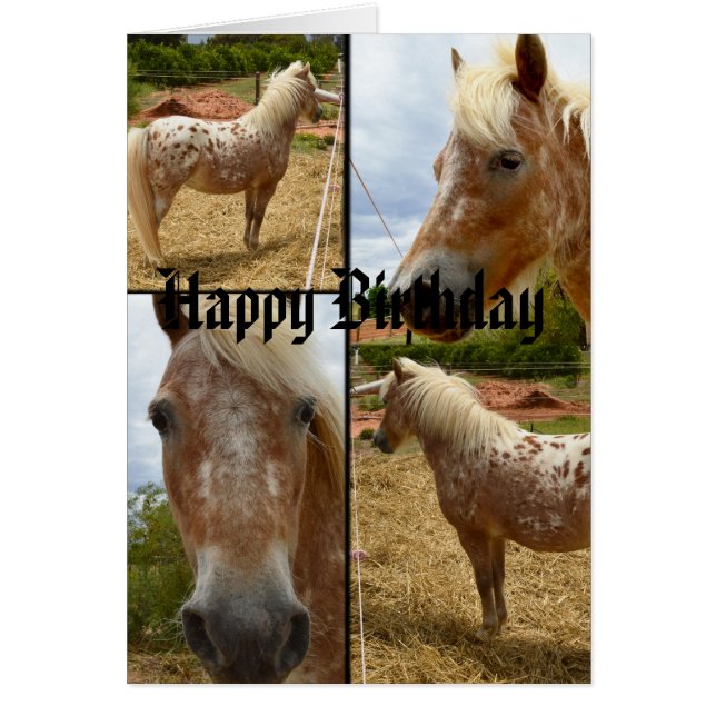Appaloosa Horses Photo Collage Anniversaire (Devant)