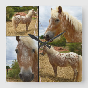 Appaloosa Horses Photo Collage, Quadratische Wanduhr