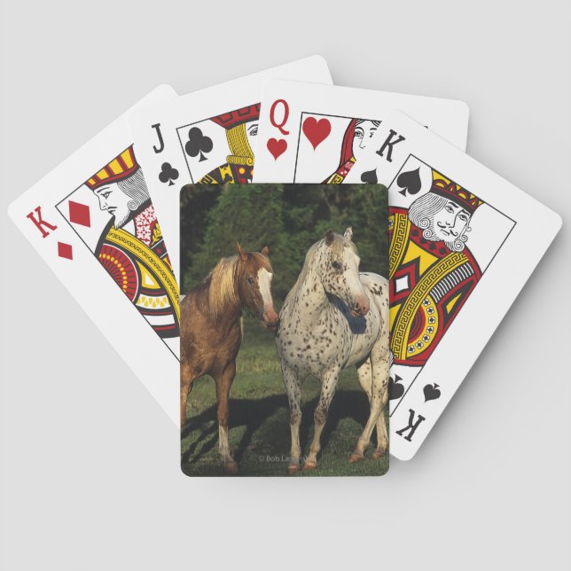 Appaloosa Horses Spielkarten (Rückseite)