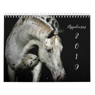Appaloosa Kalender