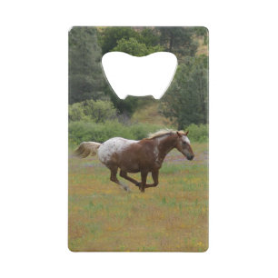 Appaloosa Kreditkarte Flaschenöffner