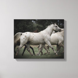 Appaloosa läuft kostenlos leinwanddruck