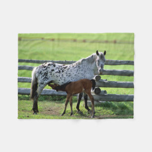 Appaloosa Mare und Colt Horse Fleecedecke