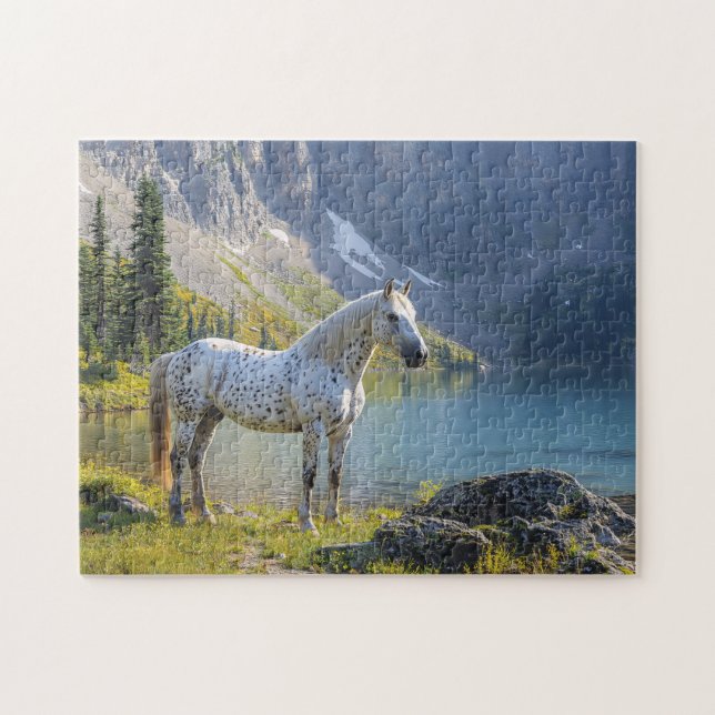 Appaloosa Pferd am See Landschaftlich (Horizontal)