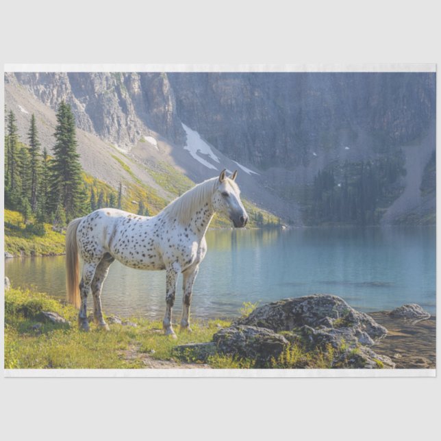 Appaloosa Pferd am See Landschaftliche Entdeckungs Seidenpapier (Vorderseite)