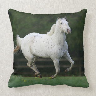 Appaloosa-Pferd, das 1 laufen lässt Kissen