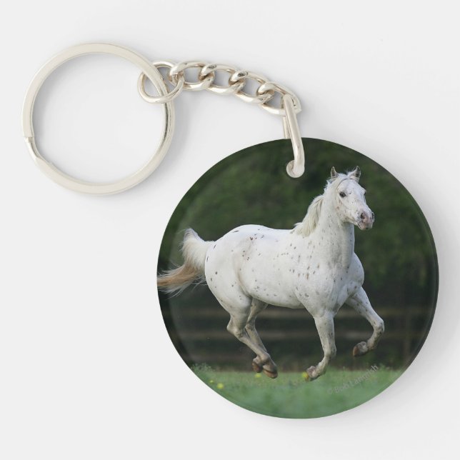 Appaloosa-Pferd, das 1 laufen lässt Schlüsselanhänger (Vorderseite)
