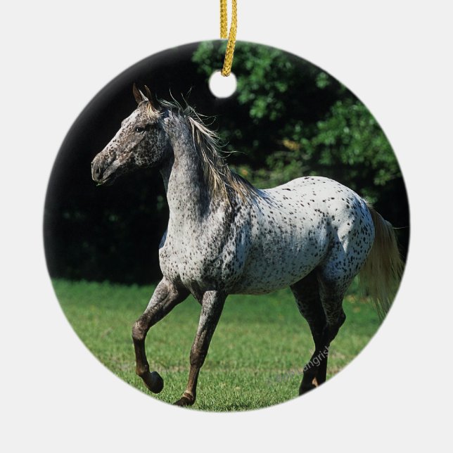 Appaloosa-Pferd, das 2 laufen lässt Keramikornament (Vorne)
