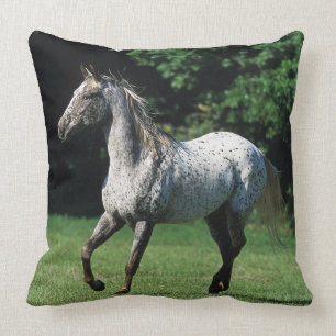 Appaloosa-Pferd, das 2 laufen lässt Kissen