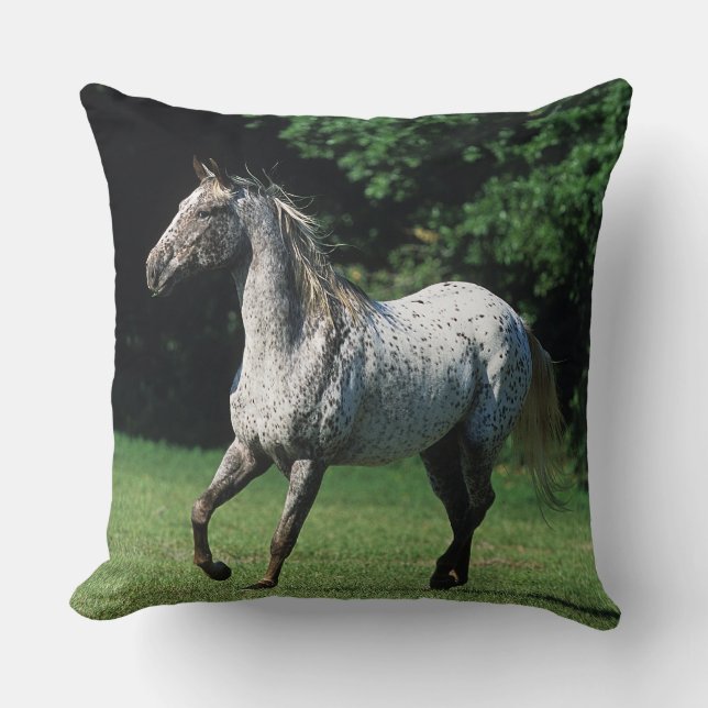 Appaloosa-Pferd, das 2 laufen lässt Kissen (Vorderseite)