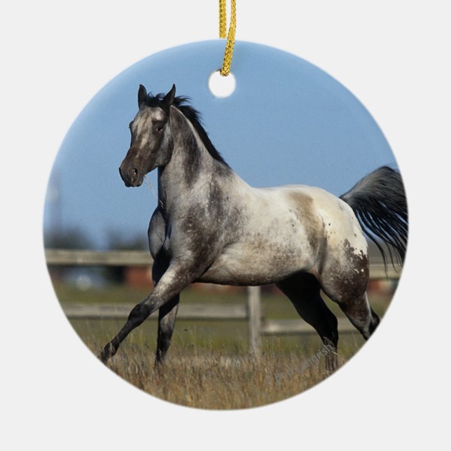 Appaloosa-Pferd, das 3 laufen lässt Keramik Ornament (Vorne)