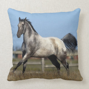 Appaloosa-Pferd, das 3 laufen lässt Kissen