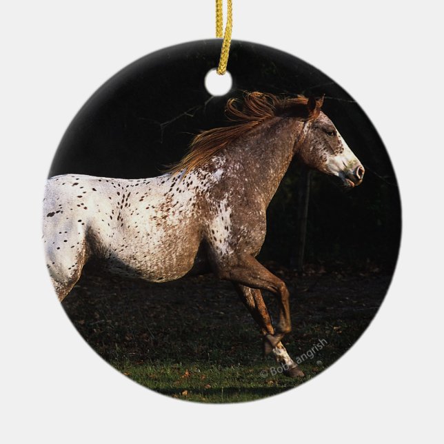 Appaloosa-Pferd, das 4 laufen lässt Keramikornament (Vorne)